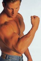 Anabolic Muscle Growth with IGF-1